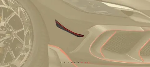 Race flaps MANSORY