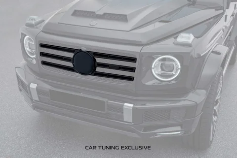 Carbon Radiator Grill
