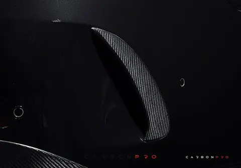 Carbon Rear air intakes add-ons Edition 1