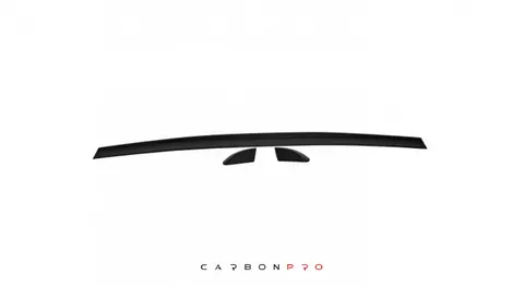 REAR LIP
