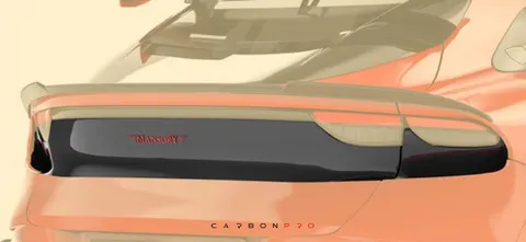 Rear panel with logo