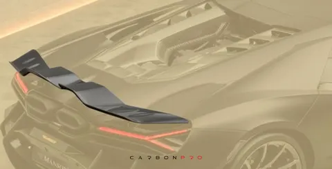Rear performance
  wing