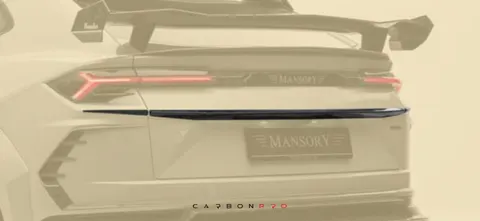 Rear spliter