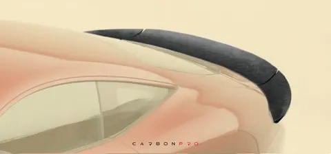 Rear spoiler