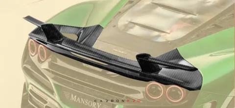 Rear spoiler with wing for spider