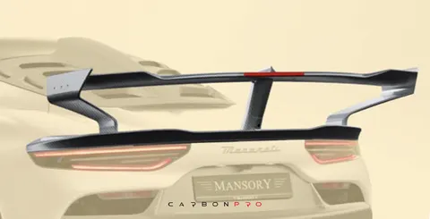 Rear sport wing with brake light for MANSROY kit