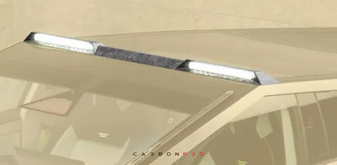 Roof panel with 2 lights