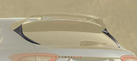 Roof spoiler extension