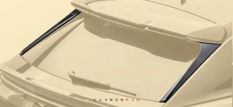 Roof spoiler extension