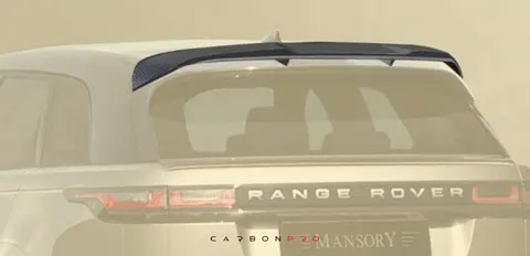 Roof wing