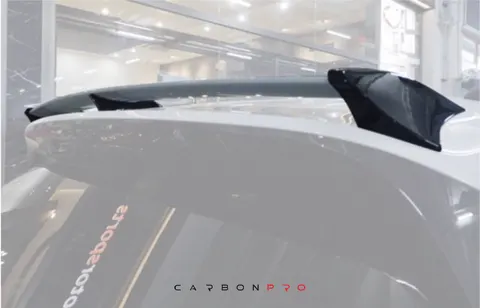 Roof Wing V6