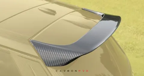 Roof wing