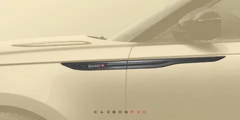 Side panel