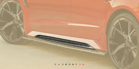 Side skirts insert cover for car with MANSORY Body kit