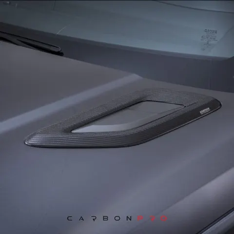 Carbon bonnet panel cover