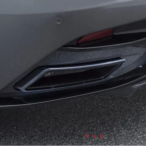 Exhaust tips, silver, bracket in carbon