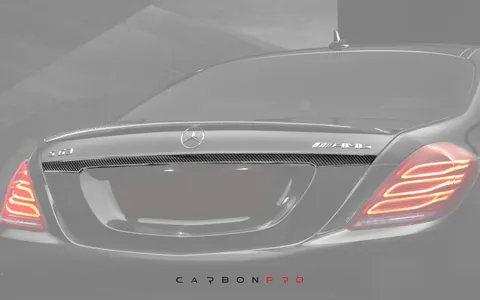 Carbon Trunk add on above license plate