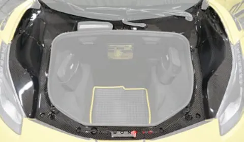 Trunk carbon cover