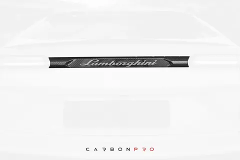 Carbon Trunk middle part